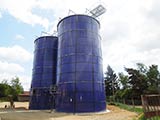 Silo na kukuřici 04